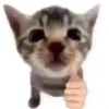 chubedan56