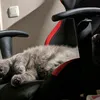 nexitis