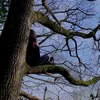 redd.co.uk