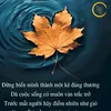vothuong2285