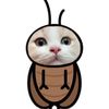 grizzly_466