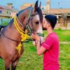 lovers.horse365