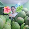 ayethu092
