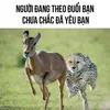 cfnfbgrnttjrgntmrngrnrnt
