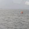 budak_laut11