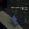 a_m_i_r_a_1233