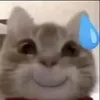 buubbiiuuu