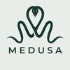 medusacase