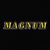 _magnum.pubg_