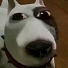 tai_22288