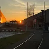 cfcmff