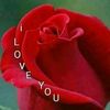 bhimsenshrestha26