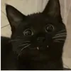 franchuscorsetti