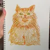 nekocat242