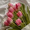 triying_to_beds_2