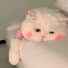 usernewintiktok
