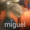 miguelb_e