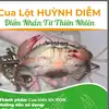 cua_lot_huynh_diem