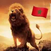 anouar_a