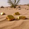 اناحبيبتمامي9