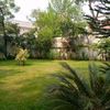 hameed42408