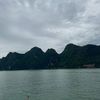 nena_14120