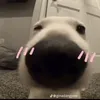 khoi_990