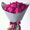 ysalameh5