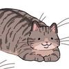 mychonkykitty