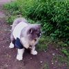 donya_vie