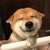 meomaymank