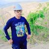 ARI_PLTS