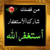 ahmed_556666