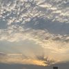 nori_1414