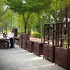 dogohaidang_87