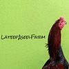 lateefaseelfarm
