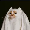 bbrrrr50