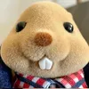 dodepdoxinh_