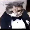 ._.alexnik