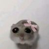 _megumiauu_
