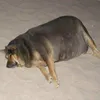 kgxkyxkyd15151515