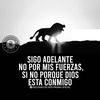 el_guerrero.88