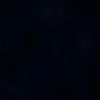 rho_ru11