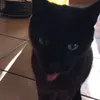 hhtotyb