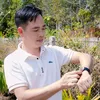 vuhongquan830