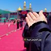 mominabbas120