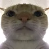 wbxb0nclay_