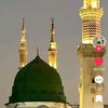 user838206738