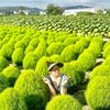dophuong640