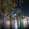 trieuhuynh2